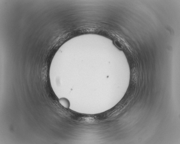 X0000115550509200912041034