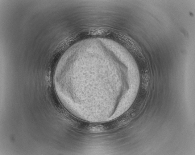 X0000115550510200912041034