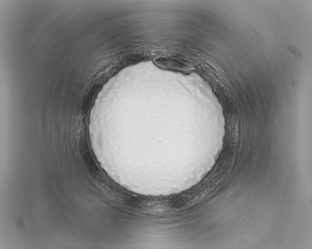 X0000115550511200912041034