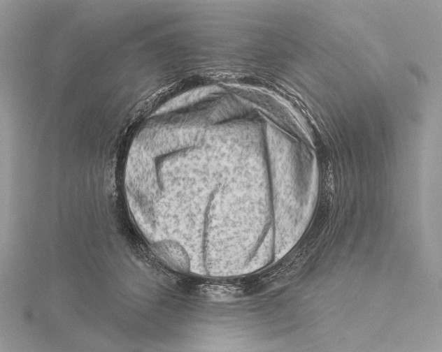 X0000115550512200912041034