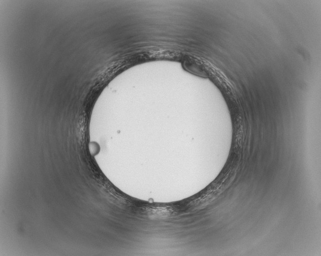 X0000115550513200912041034