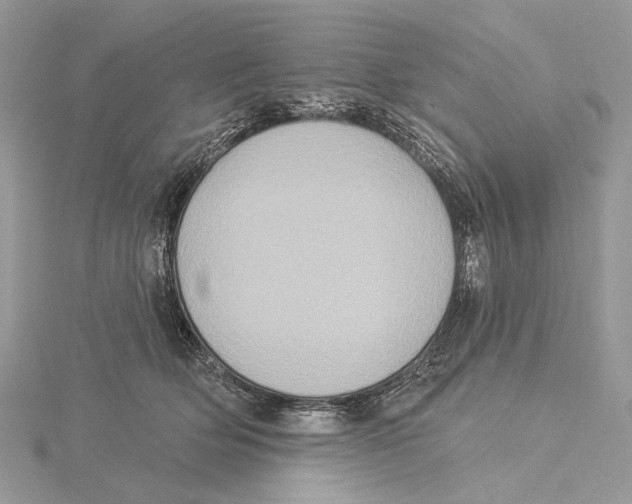 X0000115550514200912041034