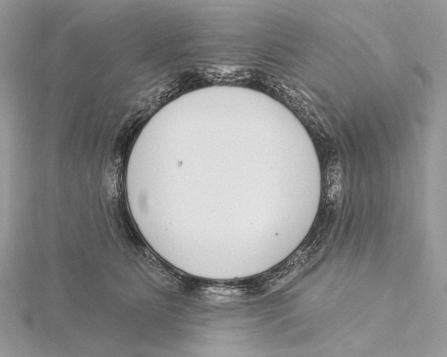 X0000115550515200912041034