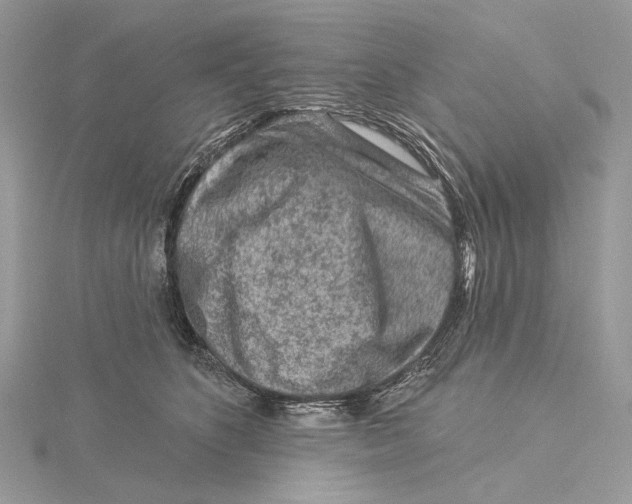 X0000115550516200912041034