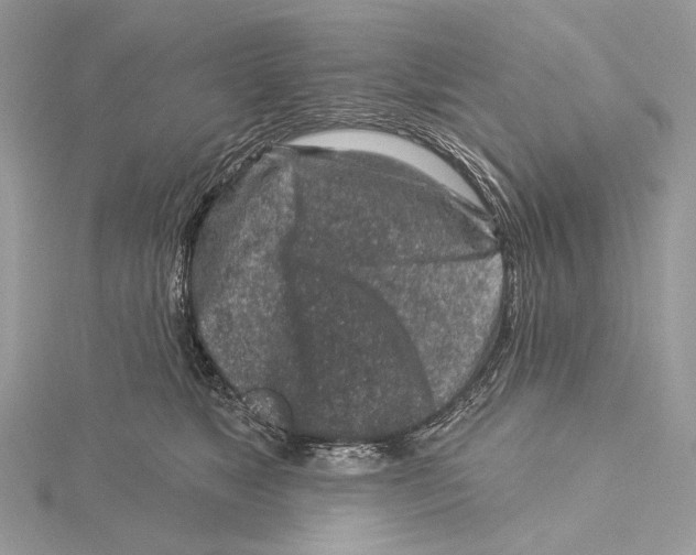 X0000115550517200912041034