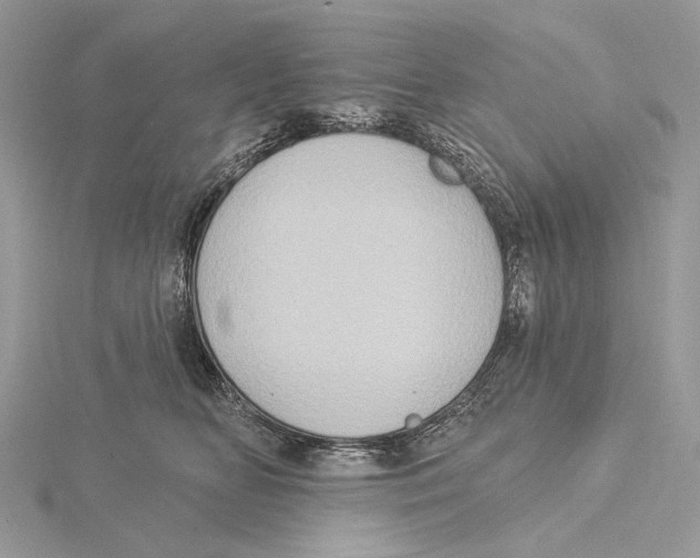 X0000115550518200912041034