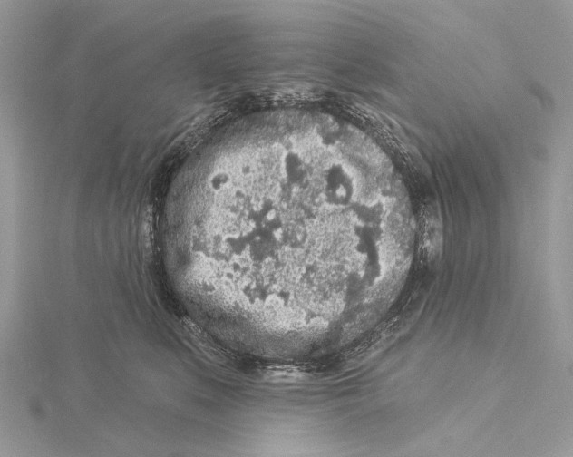 X0000115550519200912041034