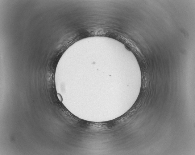 X0000115550521200912041034