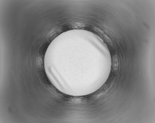 X0000115550523200912041034