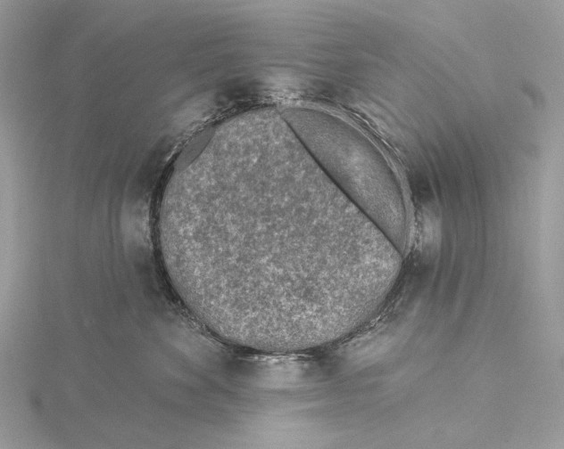 X0000115550524200912041034