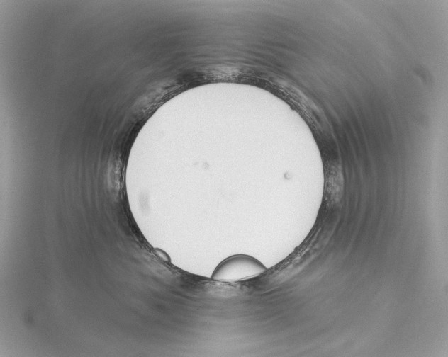 X0000115550525200912041034