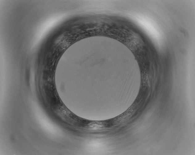 X0000115550526200912041034