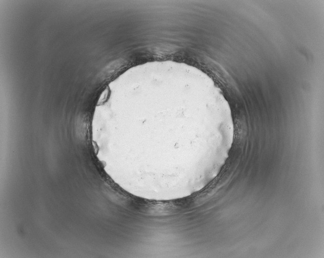 X0000115550527200912041034