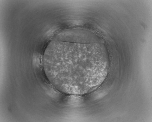 X0000115550528200912041034