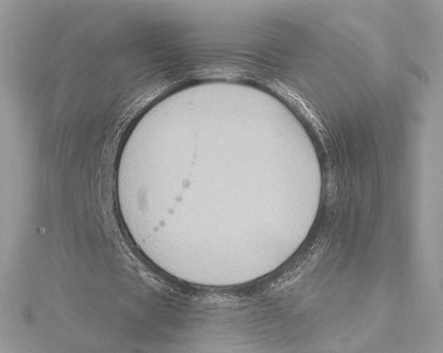 X0000115550529200912041034