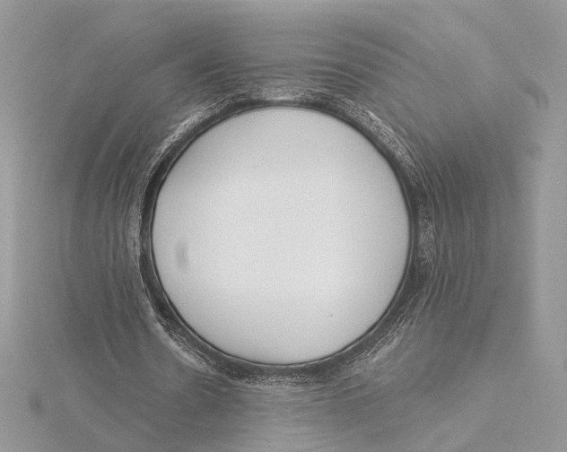 X0000115550530200912041034