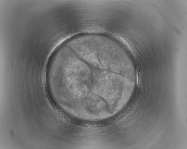 X0000115550531200912041034