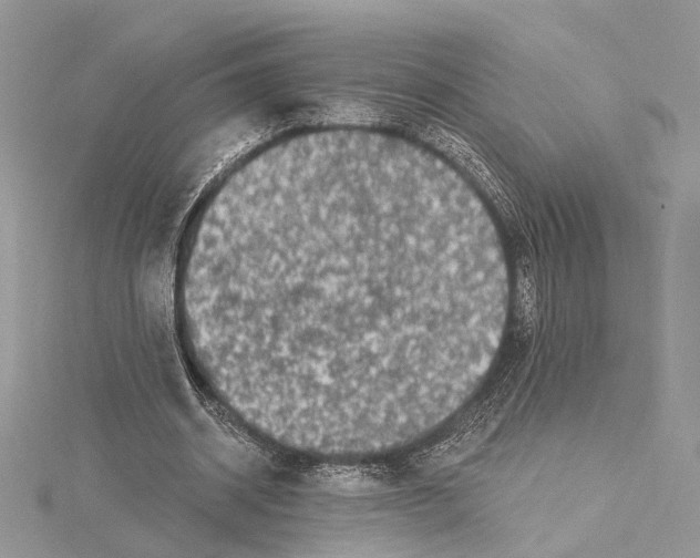 X0000115550534200912041034