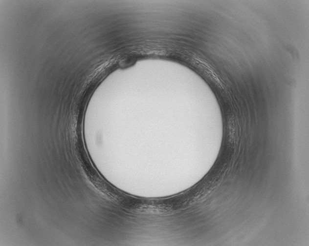 X0000115550538200912041034