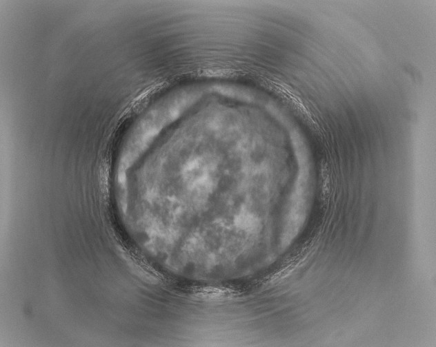 X0000115550542200912041034