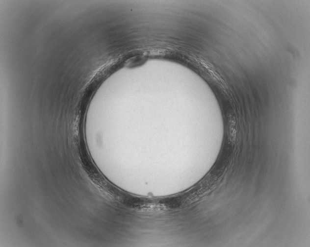 X0000115550543200912041034