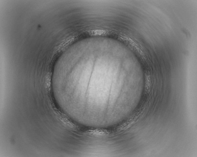 X0000115550545200912041034