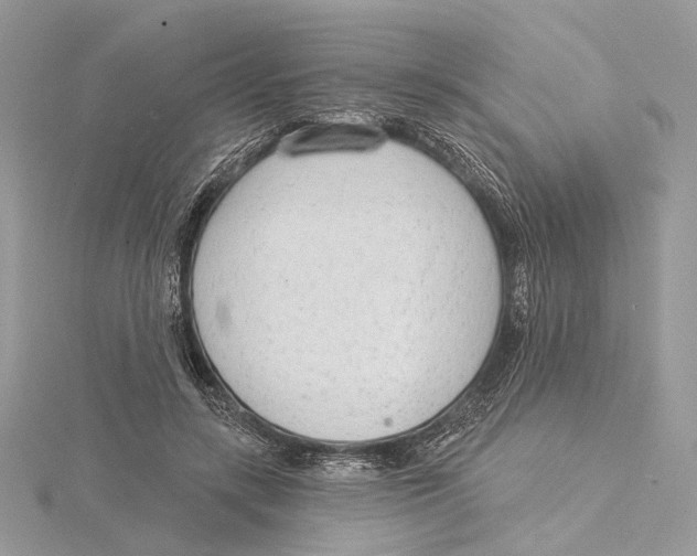 X0000115550547200912041034