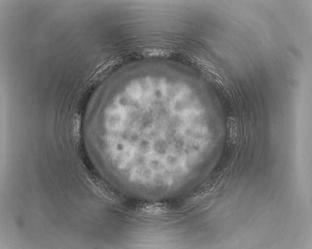 X0000115550550200912041034