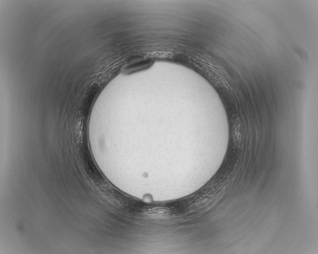 X0000115550551200912041034