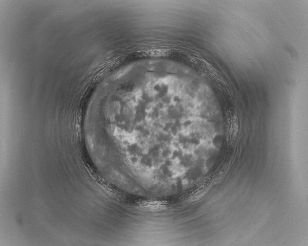 X0000115550553200912041034