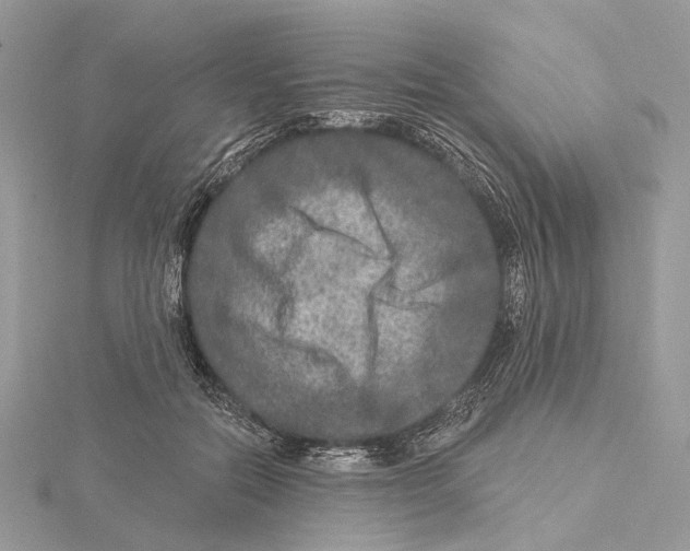 X0000115550554200912041034