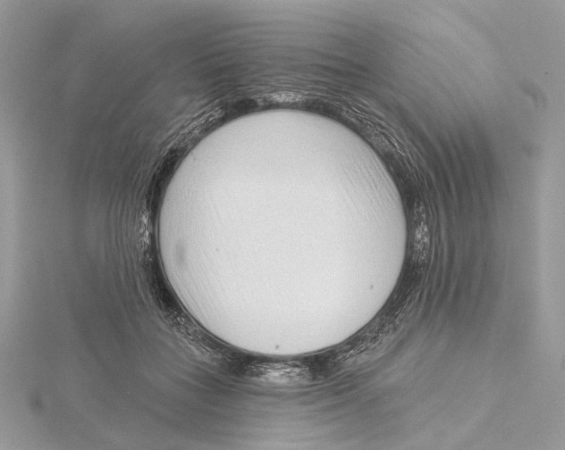 X0000115550555200912041034