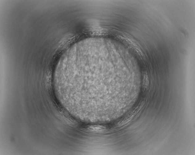 X0000115550557200912041034