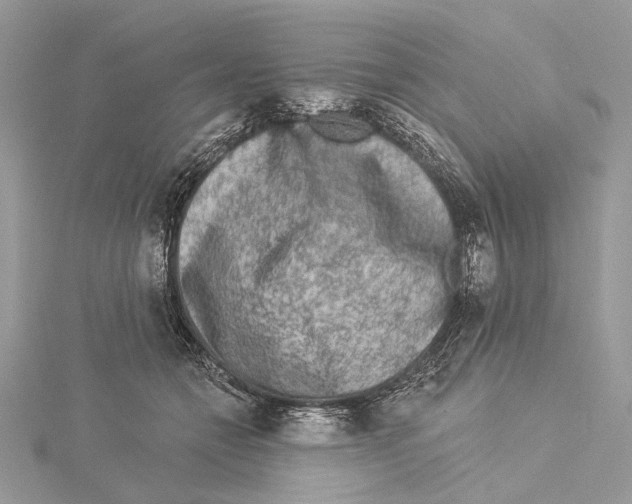 X0000115550558200912041034