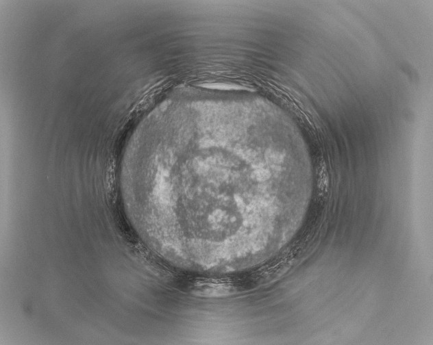 X0000115550559200912041034