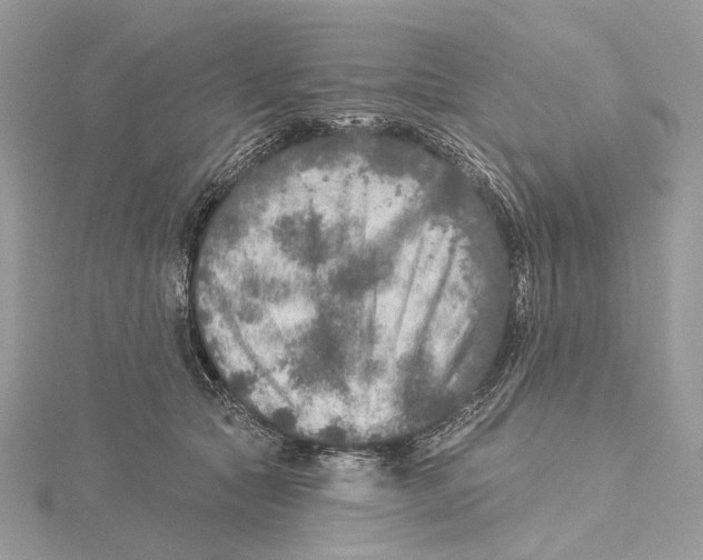 X0000115550561200912041034