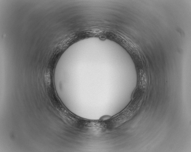 X0000115550562200912041034