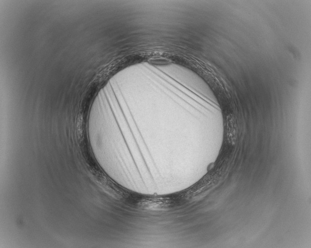 X0000115550563200912041034