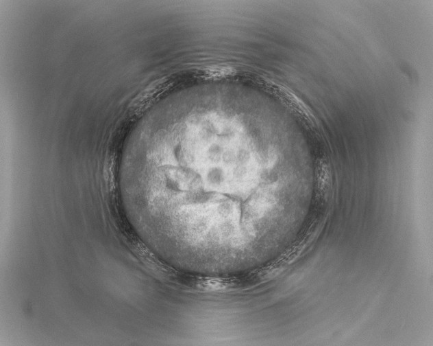 X0000115550565200912041034