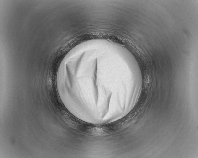 X0000115550566200912041034