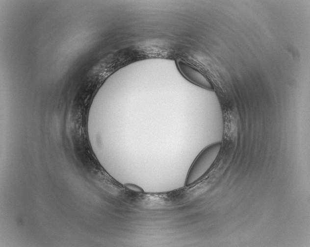 X0000115550573200912041034