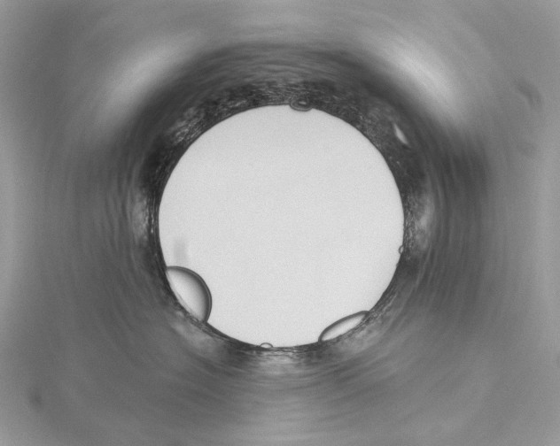 X0000115550574200912041034