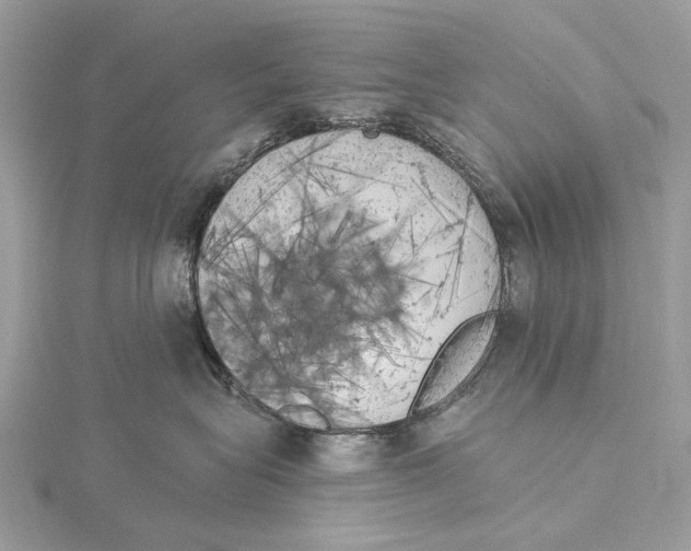 X0000115550575200912041034