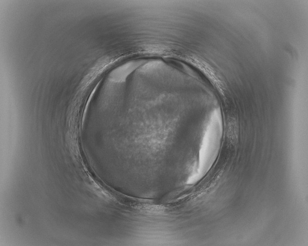 X0000115550577200912041034