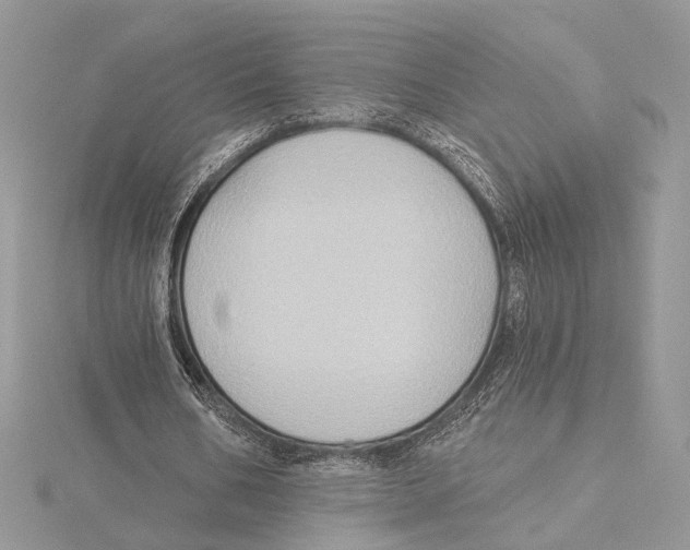 X0000115550578200912041034