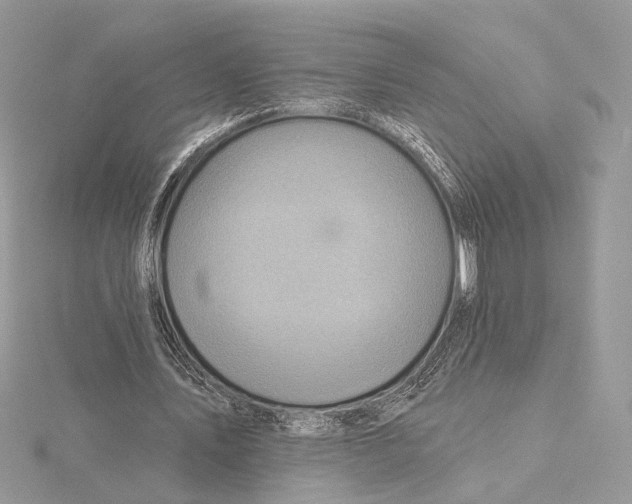 X0000115550579200912041034