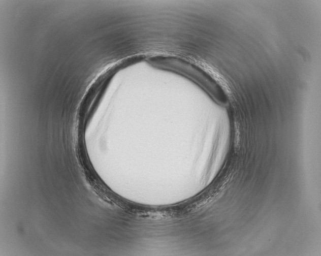 X0000115550580200912041034