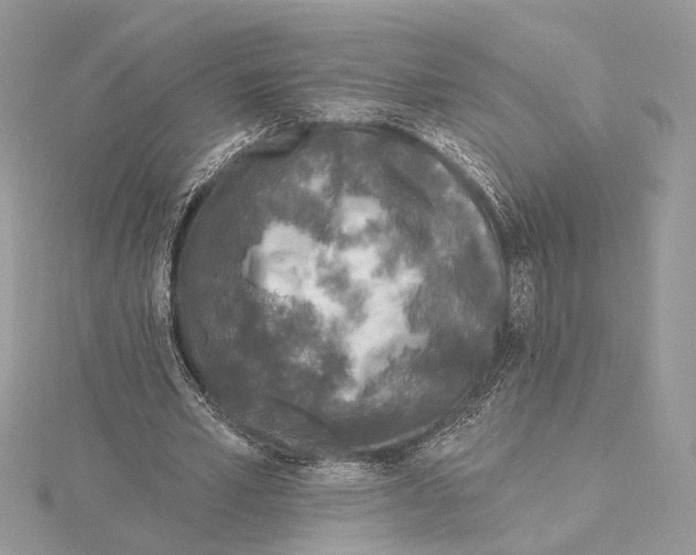 X0000115550581200912041034