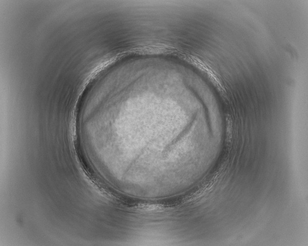 X0000115550582200912041034