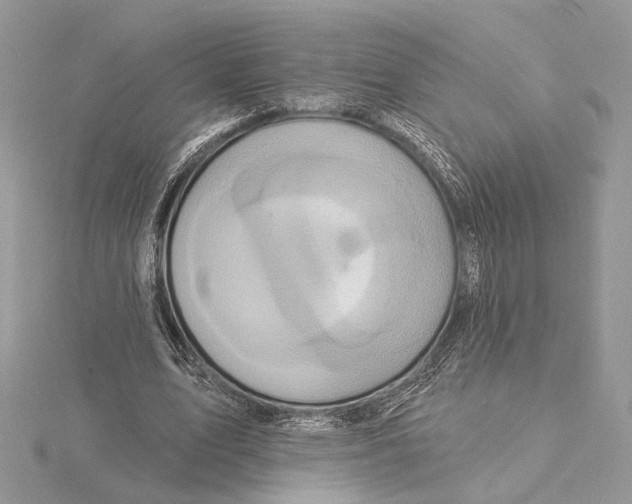 X0000115550583200912041034